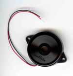 [piezo picture - 
click for larger version]
